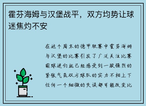 霍芬海姆与汉堡战平，双方均势让球迷焦灼不安