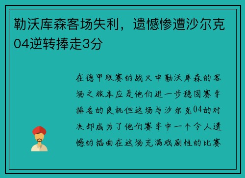 勒沃库森客场失利，遗憾惨遭沙尔克04逆转捧走3分